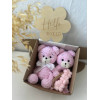 Подарунковий набір для новонародженої «Pink Teddy»