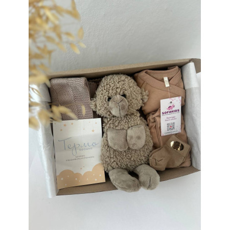 Подарунковий Baby Box для новонародженого «Warm Hug»
